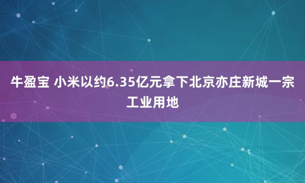 牛盈宝 小米以约6.35亿元拿下北京亦庄新城一宗工业用地