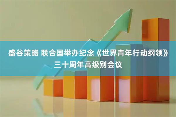 盛谷策略 联合国举办纪念《世界青年行动纲领》三十周年高级别会议