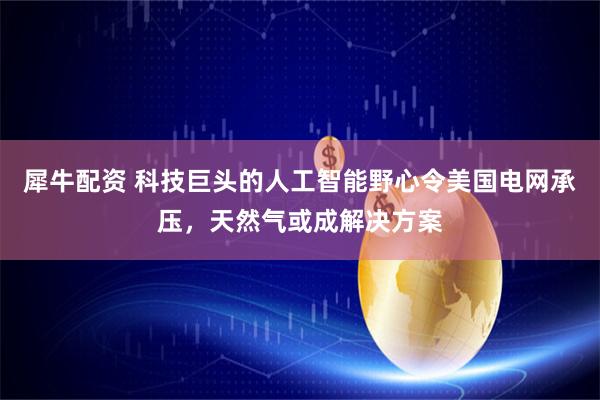 犀牛配资 科技巨头的人工智能野心令美国电网承压，天然气或成解决方案