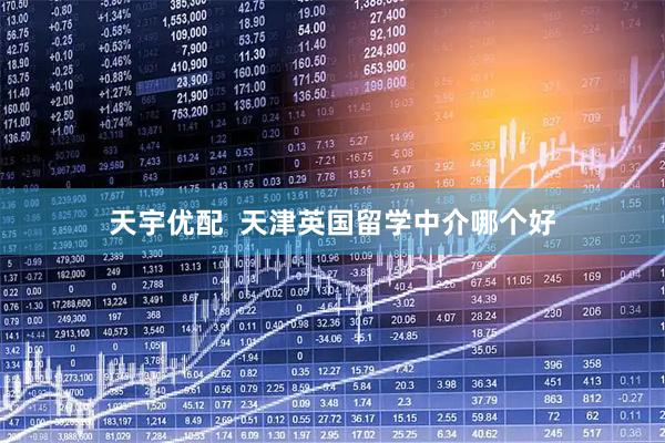 天宇优配  天津英国留学中介哪个好