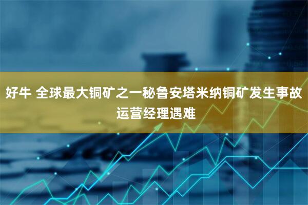 好牛 全球最大铜矿之一秘鲁安塔米纳铜矿发生事故 运营经理遇难