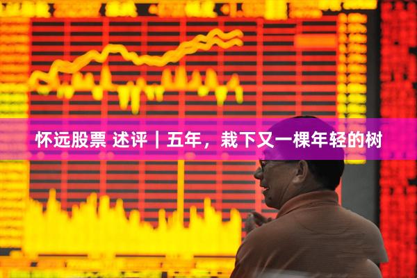 怀远股票 述评｜五年，栽下又一棵年轻的树